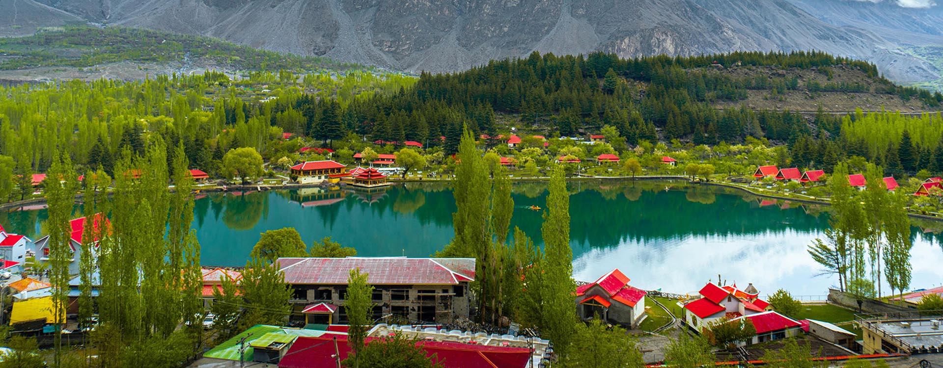 Tours & Travel
