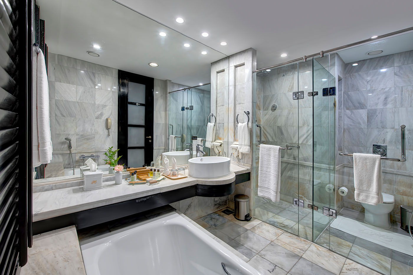 Deluxe Suite image 3