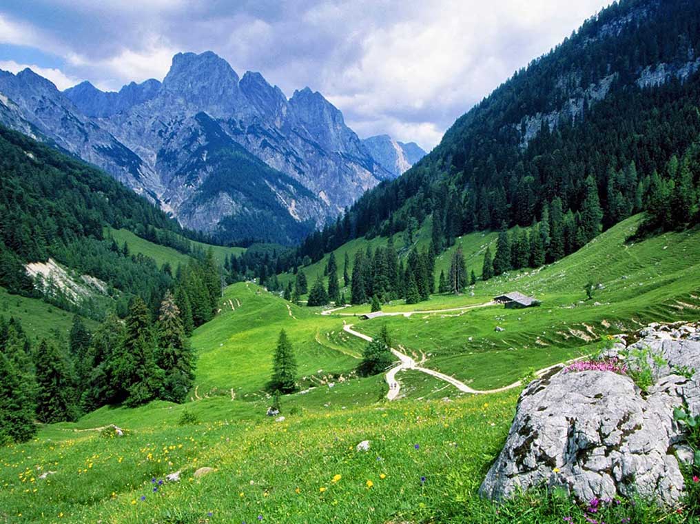 Tours and Travel