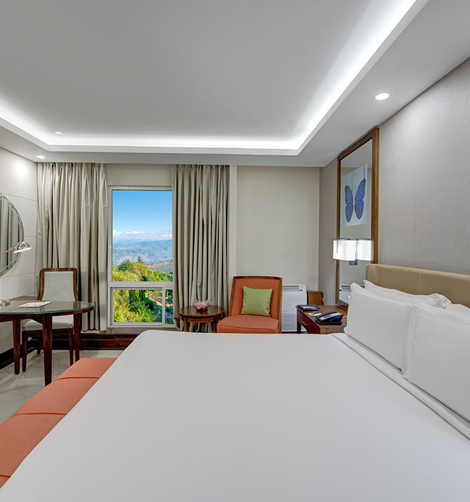 Deluxe Suite